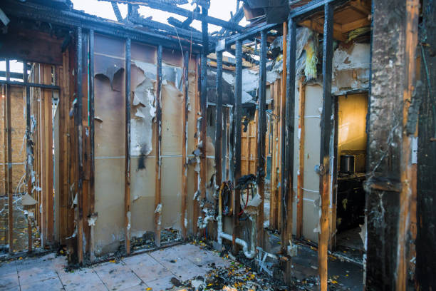 Professional Fire Damage Removal technician working in Lithia, FL