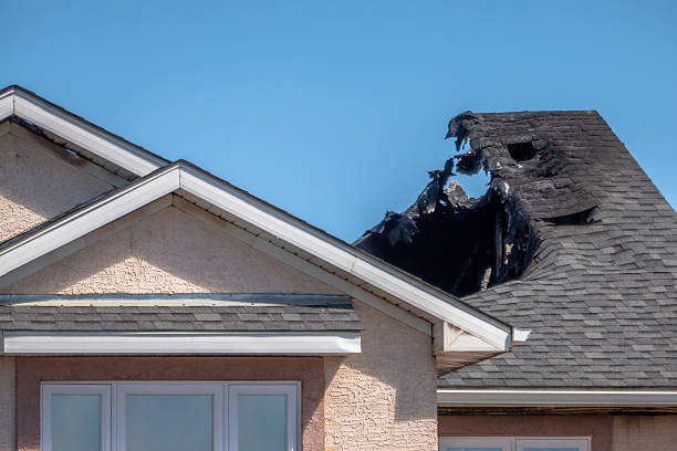 Top rated local Fire Damage Removal specialists in Lithia, FL